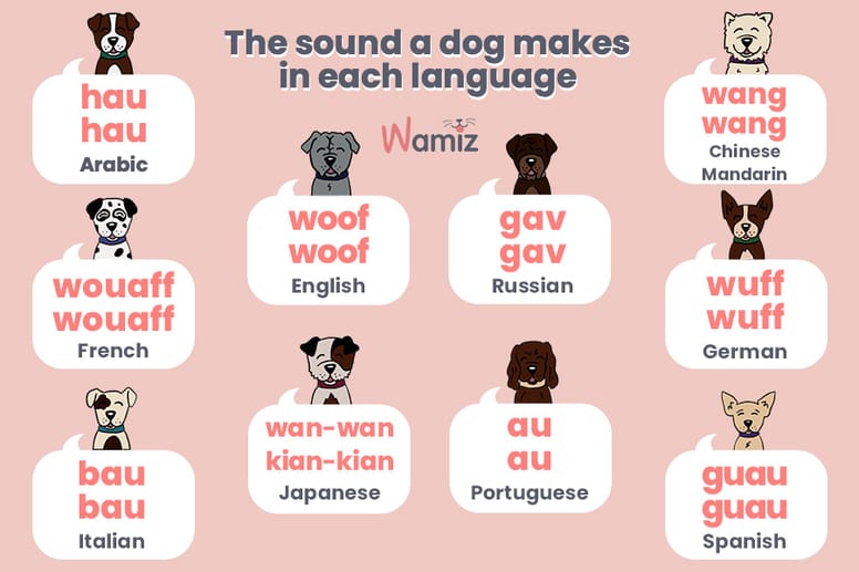 are dog barks a language